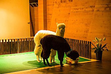 《七龙珠 电光炸裂！ZERO》媒体评分出炉 IGN 7分