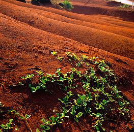 分析师称：微软如果独占《使命召唤》 收购动视暴雪会因反垄断法中止